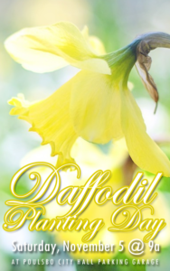 daffodildaycopy