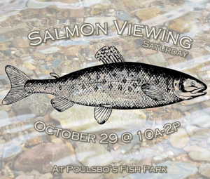 salmonviewingcopy-300x255